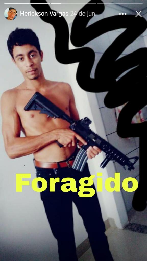 Polícias civil e militar desarticula quadrilha de roubo de gado em Novo Progresso PA.