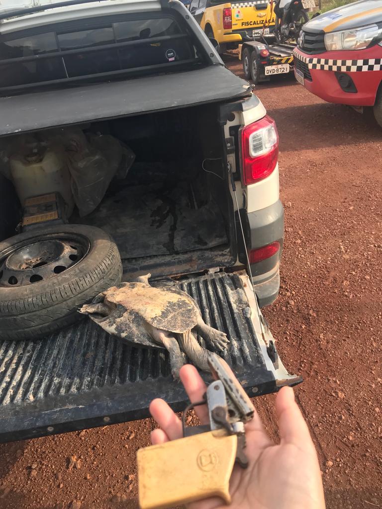 Em fiscalização na PA 370 homem  foi conduzido para Delegacia acusado de crime Ambiental e Porte ilegal de arma de fogo