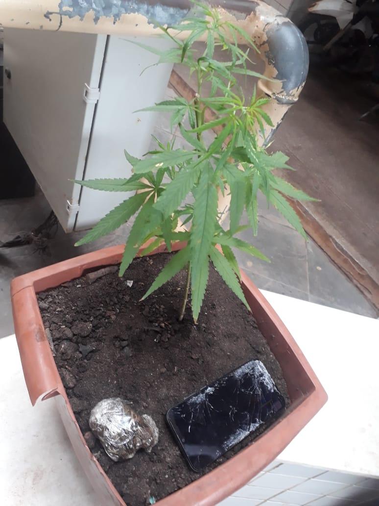 Mais uma dupla agarrada pela PM com noia