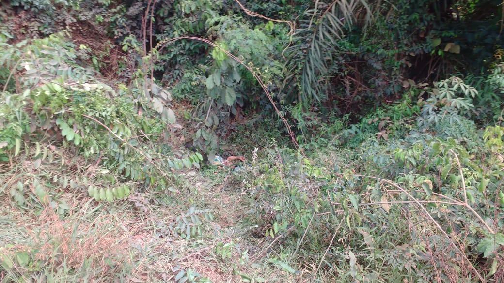 Homem executado a tiros na Curuá-Una