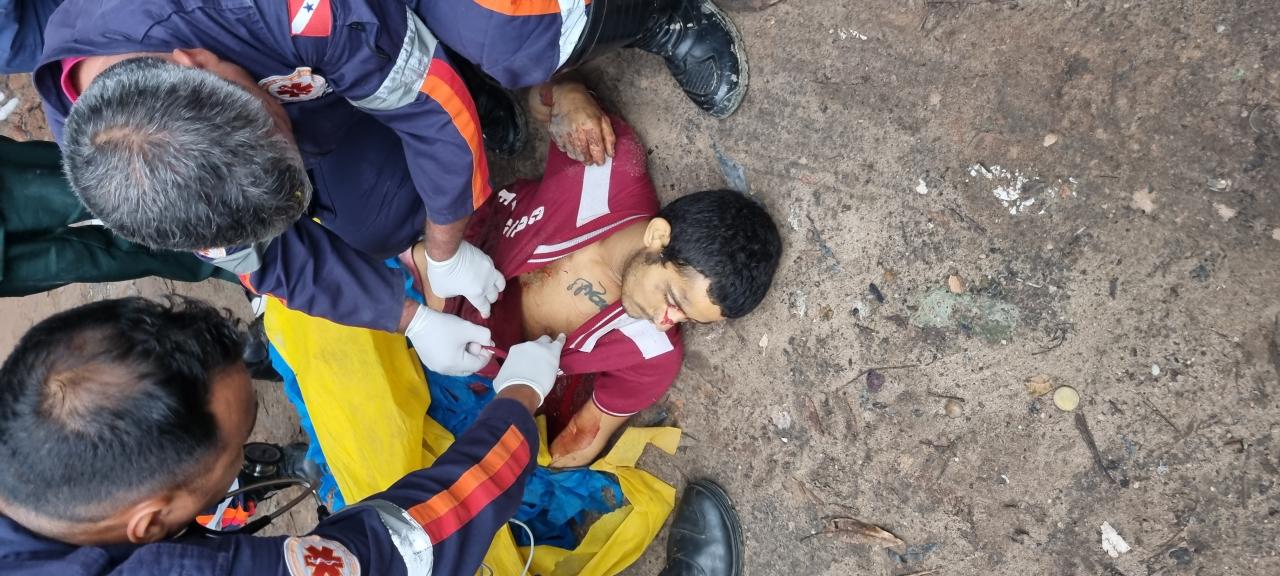 Tartaruga morto a facadas na Área Verde
