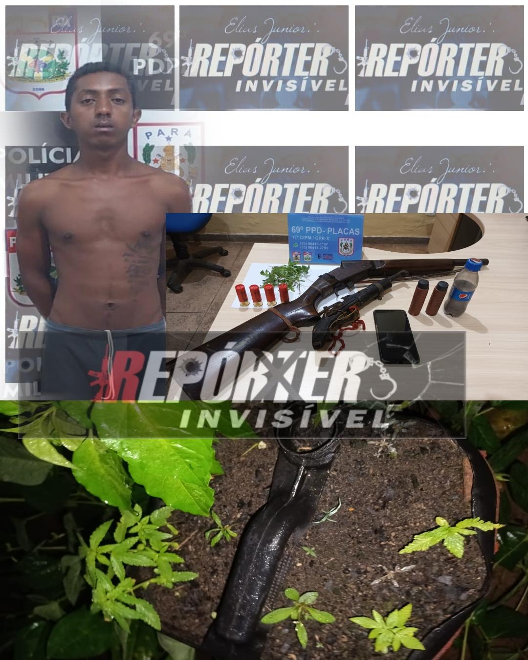 Jovem preso por porte ilegal de arma de fogo e cultivo de maconha