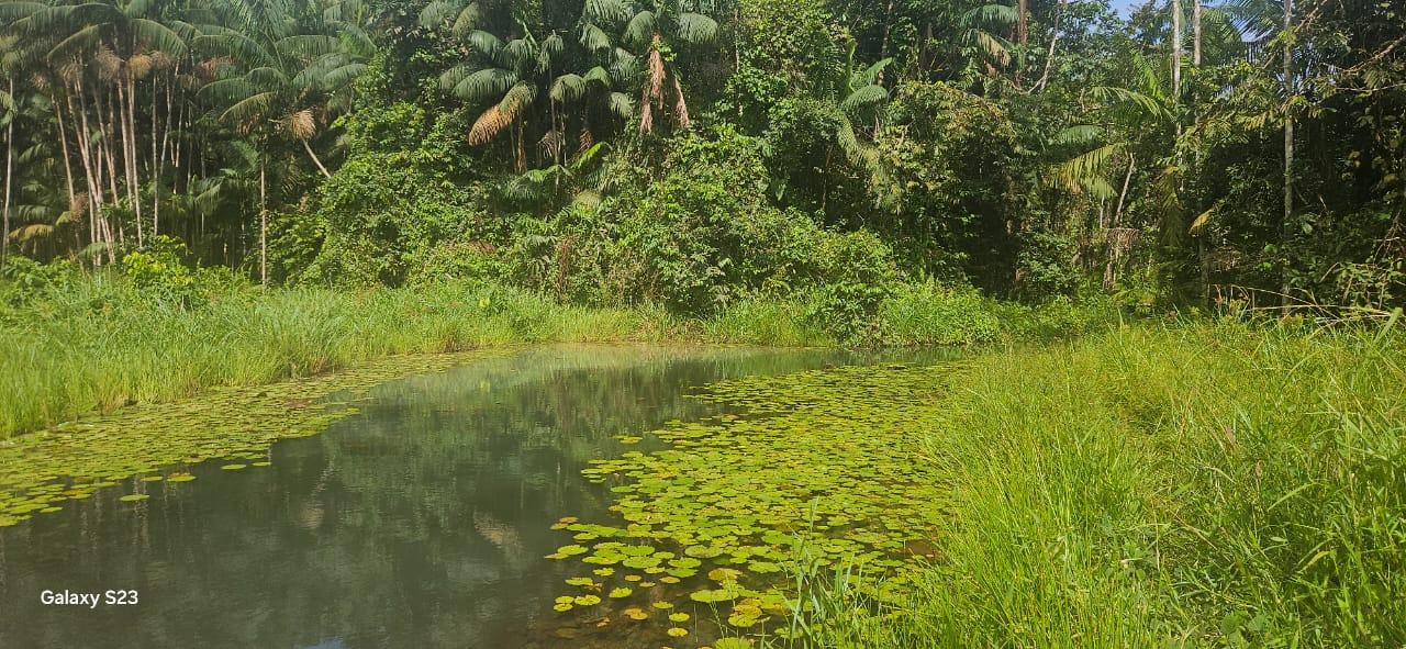 Corpo encontrado em comunidade