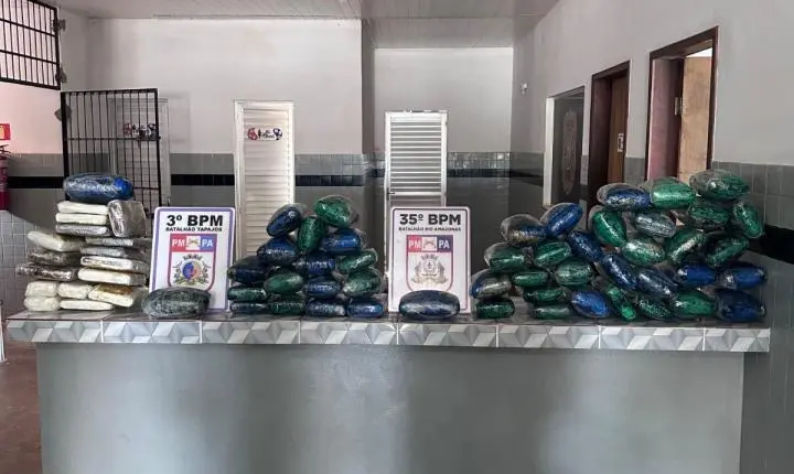 Droga apreendida pela PM no bairro Vista Alegre do Juá 