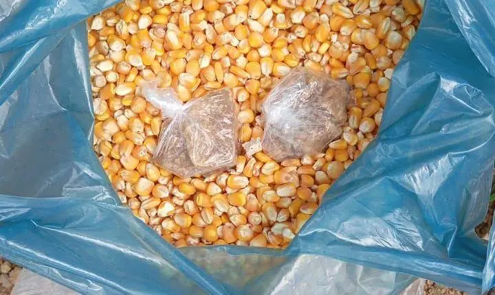 Homem preso pela PM em Belterra 